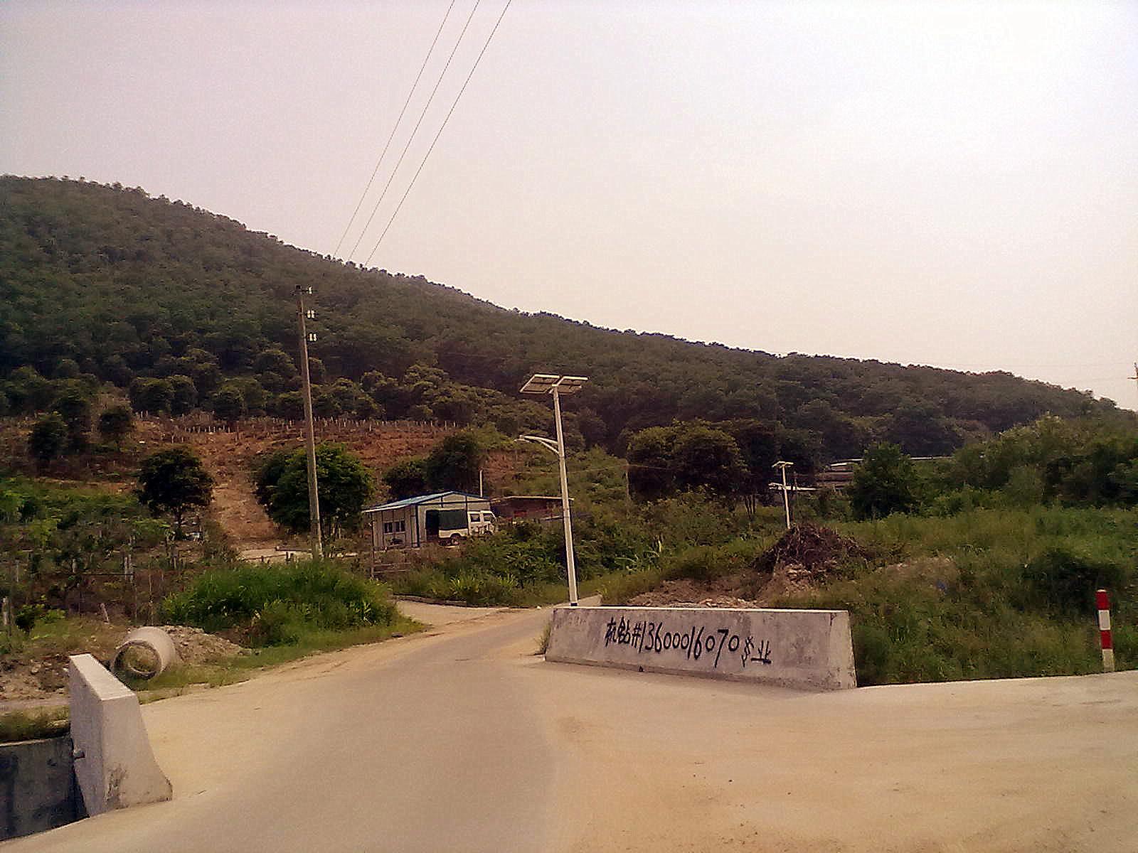 廣州從化區(qū)太平鎮(zhèn)神崗塔竹坑社村道邊370畝山地平地轉(zhuǎn)讓